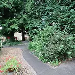 Honeysuckle 里士满